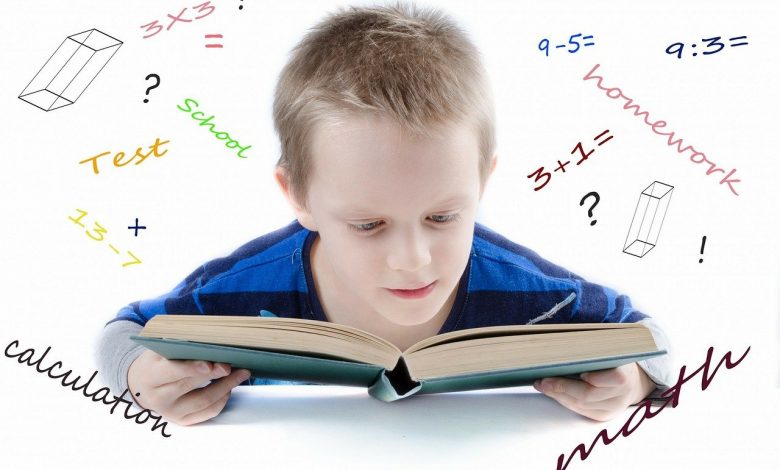 The importance of mathematics for the students has by no means been greater.