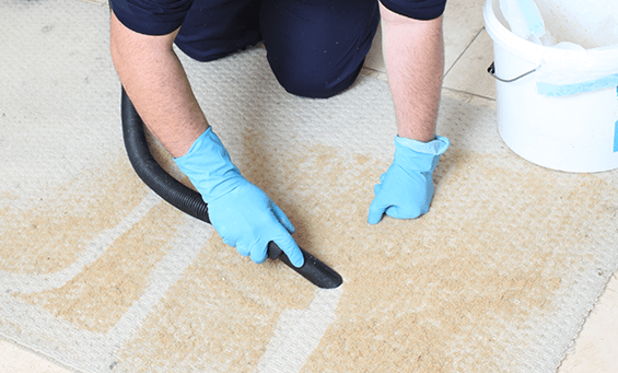 Healthier carpets and a germ-free home | Carpet Cleaning Erina