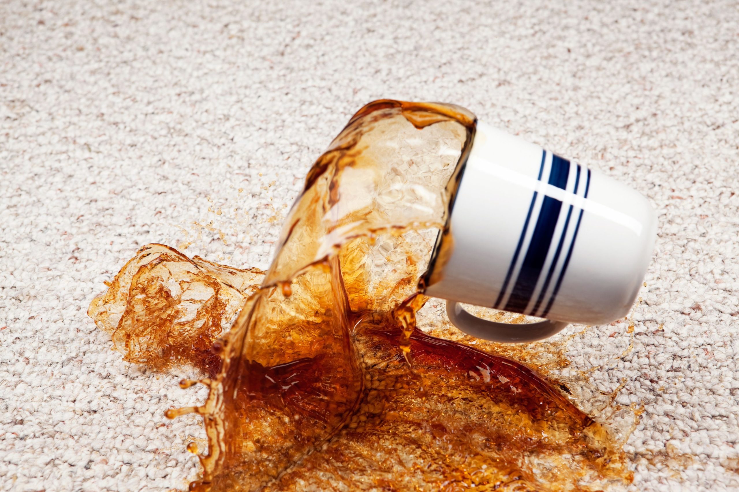 Stain Removal - Carpet Cleaning Erina