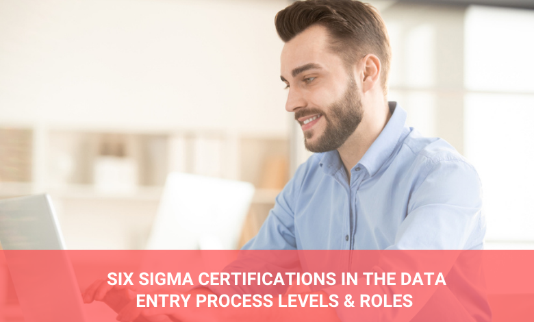 six sigma certifications in the data entry process levels & roles